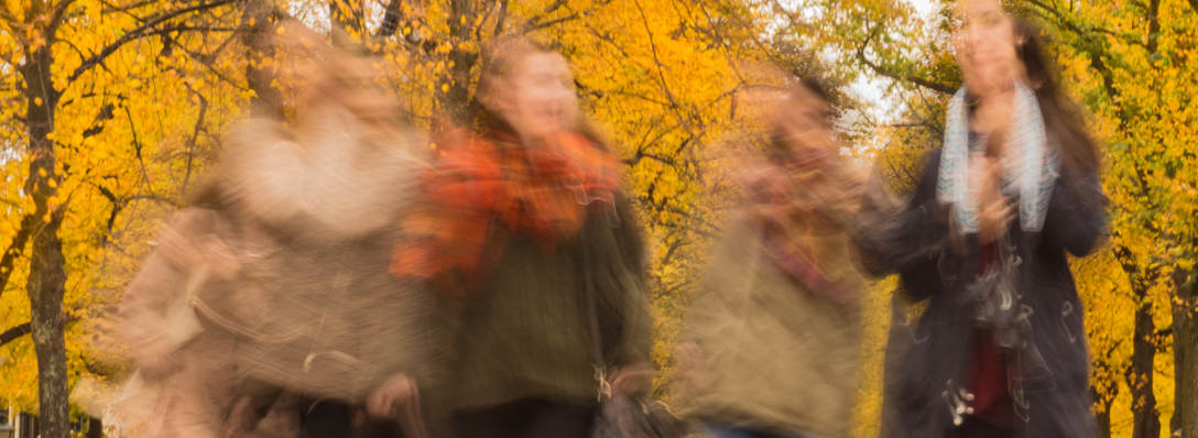 Group of People Walking Under the Orange Tree, Foto: Skitterphoto / Pexels